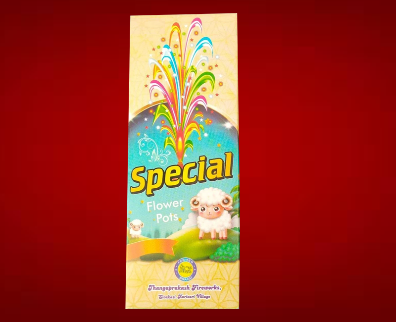 Special  Flower Pots