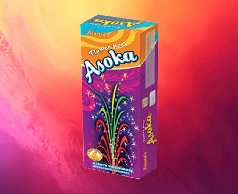 Ashoka Special  Flower Pots