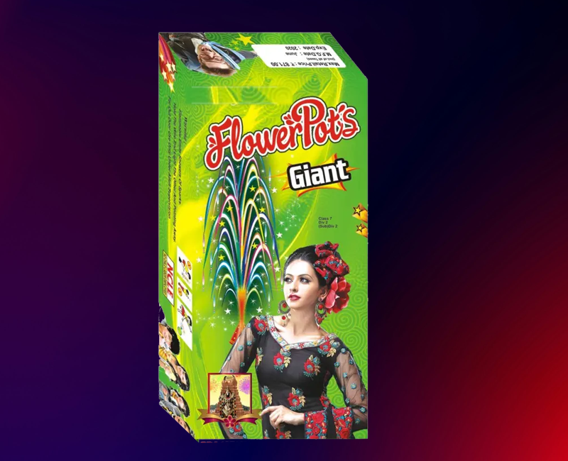 Special Gaint Flower Pots